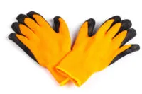 GANTS