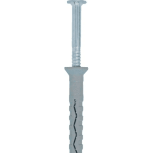 LOT DE 100 VIS ET CHEVILLE 6MM